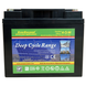 Lead-acid battery EverExceed DP-12200B ASK-EVEX-DP-12200B фото 1