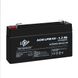 AGM battery LPM 6V - 1.3 Ah 4157 фото 4