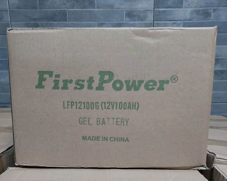 Акумулятор гелевий FirstPower LFP 12100, 12В 100 А*год BT-GM-FE-LFPG-12-100 фото