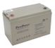 Battery gel FirstPower LFP 12100, 12V 100 Ah BT-GM-FE-LFPG-12-100 фото 1