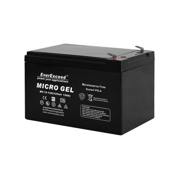 Battery gel EverExceed Micro Gel Range 12-22G AG-EVEX-MG-1211-G photo