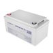 Battery multigel LP-MG 12V - 65 Ah Silver 2314 фото 2