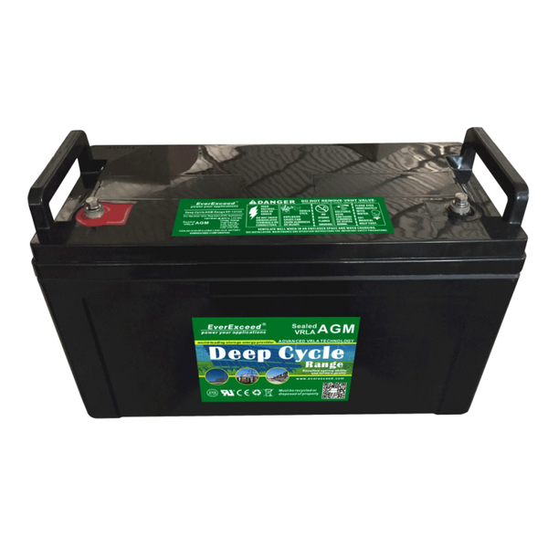 Lead-acid battery EverExceed DP-1226 ASK-EVEX-DP-1216 photo