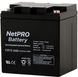 Акумуляторні батареї CSPower NetPRO CS CS12-12 AK-B-EVEX-NPRO-CS-12-12 фото 5