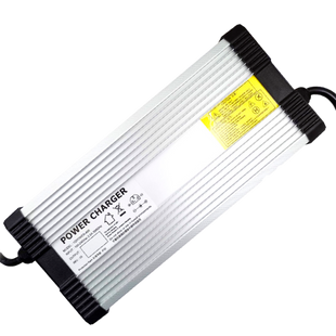 Зарядний пристрій для акумуляторів LiFePO4 24V (28.8V)-20A-480W lp_13965 фото