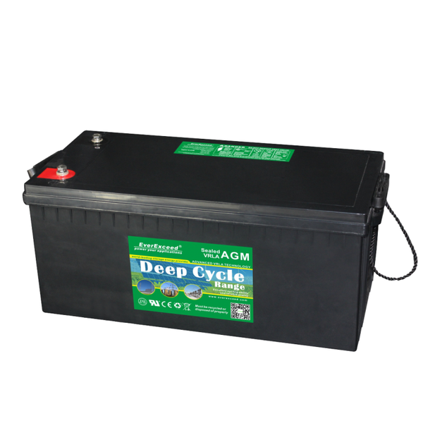 Lead-acid battery EverExceed DP-1255 ASK-EVEX-DP-1255 photo
