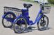Electric bicycle SKYBIKE 3-CYCL 350W 36V12Ah ET-EV-SKYBIKE-3-CYCL фото 5