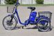 Electric bicycle SKYBIKE 3-CYCL 350W 36V12Ah ET-EV-SKYBIKE-3-CYCL фото 2