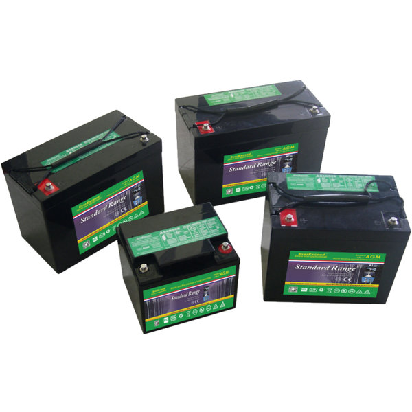 Lead-acid battery EverExceed ST-6180 AK-SK-EVEX-ST-6180 photo