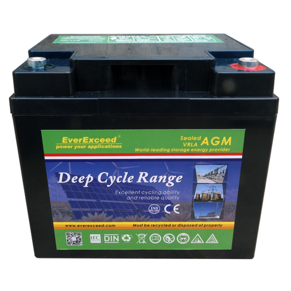 Lead-acid battery EverExceed DP-12100A ASK-EVEX-DP-12100-A photo