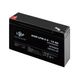 AGM battery LPM 6V - 14 Ah 4160 фото 3